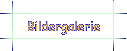 Bildergalerie
